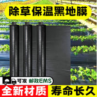 Agricultural Black Mulch Film for Weed Control, Thermal Insulation, and Moisture Retention