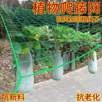 Plant Trellis Netting for Climbing Vegetables and Fruits, Heavy Duty Garden Support Mesh