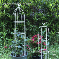Decorative Birdcage Iron Art Plant Stand for Climbing Vines and Roses, Indoor/Outdoor Garden Trellis