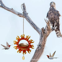 Sun Face/Flower Hanging Bird Feeder for Garden