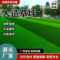 Artificial Thickened Turf for Football Fields & Outdoor Landscaping