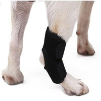 Pet Dog Post-Surgery Leg Brace Anti-Lick Joint Support Sleeve