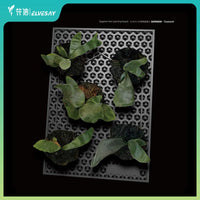 Fern Mounting Board and Sphagnum Moss for Epiphytic Plants