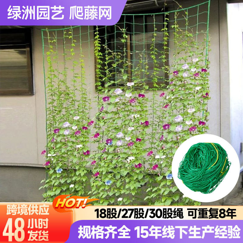 Garden Trellis Netting for Climbing Plants, Fruits, Vegetables, and Flowers