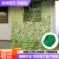 Garden Trellis Netting for Climbing Plants, Fruits, Vegetables, and Flowers