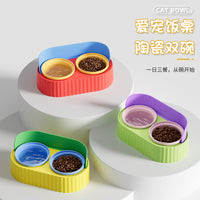 Elevated Ceramic Double Cat Bowl with Stand for Food and Water, Anti-Tip Pet Feeder for Neck Protection