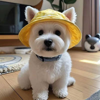Pet Summer Sun Hat with Ear Holes for Dogs and Cats, Breathable Fisherman Cap