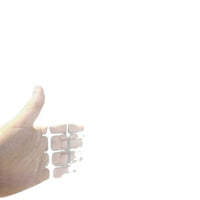 Durable Plastic Poultry Fencing Mesh for Gardens and Farms