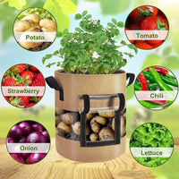 Reusable Non-Woven Potato Grow Bag with Clear Window and Handles