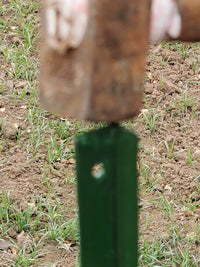 Solid Steel Fence Post Y-Type Trellis Support for Garden and Vineyard