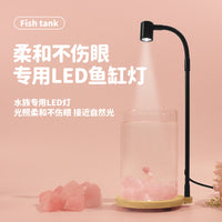 Crystal Stone Betta Fish Tank with Night Light, Small Desktop Micro-Landscape Aquarium