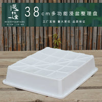 Thickened Multi-functional Succulent Plant Soaking Tray with Seedling Starter and Humidity Dome