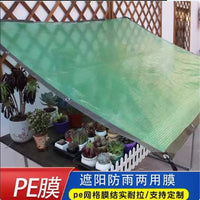 Transparent Waterproof PVC Tarpaulin with Grid for Outdoor Rain and Wind Protection