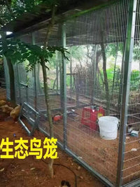 Galvanized Welded Wire Mesh for Animal Cages - Chicken, Rabbit, Pigeon Coops