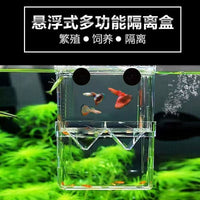 Acrylic Fish Tank Isolation Box Transparent Breeding Hatchery for Guppy Fry and Small Fish