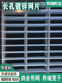 Galvanized Welded Wire Mesh Panel for Pet Enclosures and Fencing