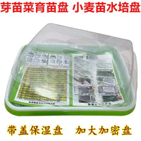 Thickened Seedling Tray Hydroponic Bean Sprout Growing Kit for Home Balcony Vegetable Cultivation