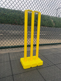 Cricket Set for Students and Youth Training - Complete Bat and Ball Kit