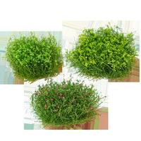 Miniature Flower Cluster Model for Dioramas and Scenery