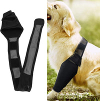Dog Knee Brace for Post-Surgery Recovery and Joint Support, Anti-Lick Leg Protector