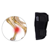 Pet Dog Leg Brace for Injury Recovery and Lick Prevention