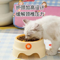 Stainless Steel Tilted Pet Bowl for Cats and Small Dogs, Elevated Anti-Vomit Anti-Choke Food Feeder, Non-Slip Anti-Tip Design