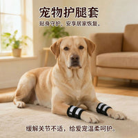 Luminous Pet Dog Leg Brace for Injury Recovery and Lick Prevention