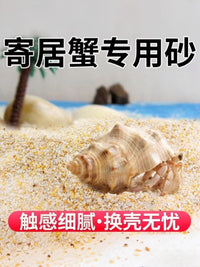 Hermit Crab Natural Aquarium Substrate Sand for Terrariums and Aquariums