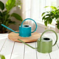 Long Spout Watering Can for Indoor Plants, Metal Watering Pot for Succulents and Small Potted Plants