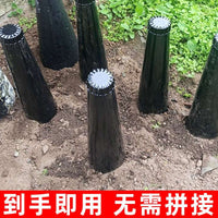 Garlic Chive Growing Tube for Home Balcony Vegetable Cultivation