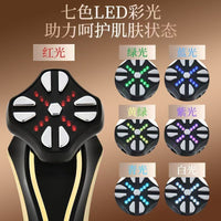 RF EMS Microcurrent Facial Massager for Skin Tightening and Rejuvenation