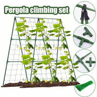 Adjustable Steel Pipe Trellis for Climbing Plants, Cucumber, and Vegetable Support