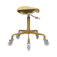 Hair Salon Swivel Stool with Wheels, Adjustable Hydraulic Barber Chair for Stylists