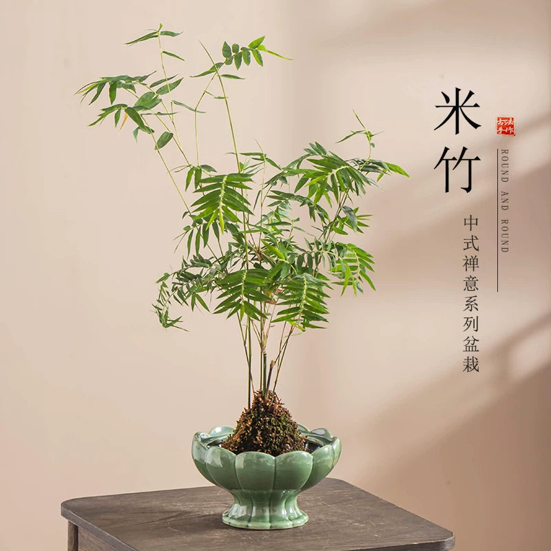 Ceramic Moss Ball Planter Tray with Stand for Hydroponics and Desktop Decor