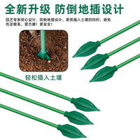 Plant Support Stakes for Potted Plants, Tomatoes, Orchids, and Climbing Vines