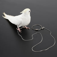 Parrot Stainless Steel Ankle Chain Leash for Small to Medium Birds