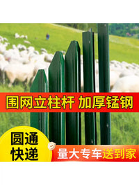 Y-Type Steel Fence Posts for Chicken Coops and Garden Fencing, Solid Support Stakes