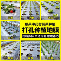 Perforated Silver-Black Agricultural Mulch Film for Planting, Weed Control, Thermal Insulation, and Moisture Retention