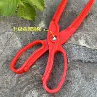 ABS Fishing Lip Gripper and Plier Set, Portable Fish Holder Tool