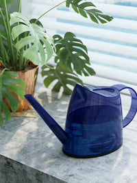 Indoor/Outdoor Long Spout Watering Can for Plants, Flowers, and Succulents