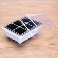 Succulent Seedling Starter Kit with Humidity Dome - 3-Piece Plant Propagation Tray Set