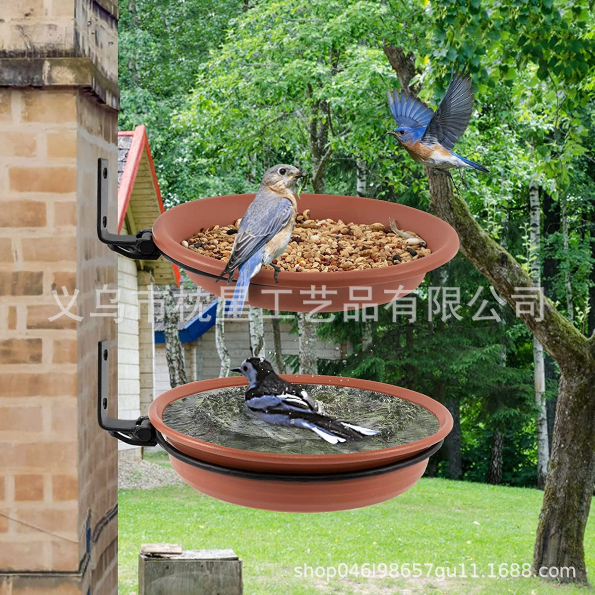 Hanging Bird Feeder and Water Tray Set for Garden and Outdoor Use