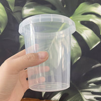 Self-Watering Orchid Pot with Reservoir and Growing Medium