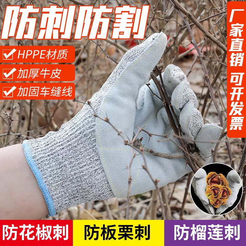 Cut Resistant Thorn Proof Gardening Gloves for Fishing, Rose Pruning, and Cactus Handling
