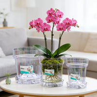 Self-Watering Clear Plastic Planter Pot for Indoor Plants Orchids