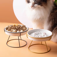 Ceramic Slow Feeder Pet Bowl with Elevated Stand for Cats and Small Dogs, Anti-Choke, Spine Protection, Anti-Acne