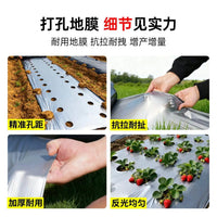 Perforated Silver-Black Agricultural Mulch Film for Planting, Weed Control, Thermal Insulation, and Moisture Retention