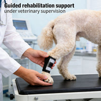 Reflective Dog Leg Brace for Joint Support and Protection
