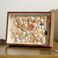 DIY Manual Specimen Display Frame for Shells, Stones, and Plants - Empty Shadow Box