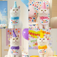 Pet Birthday Bandana and Hat Set for Dogs and Cats